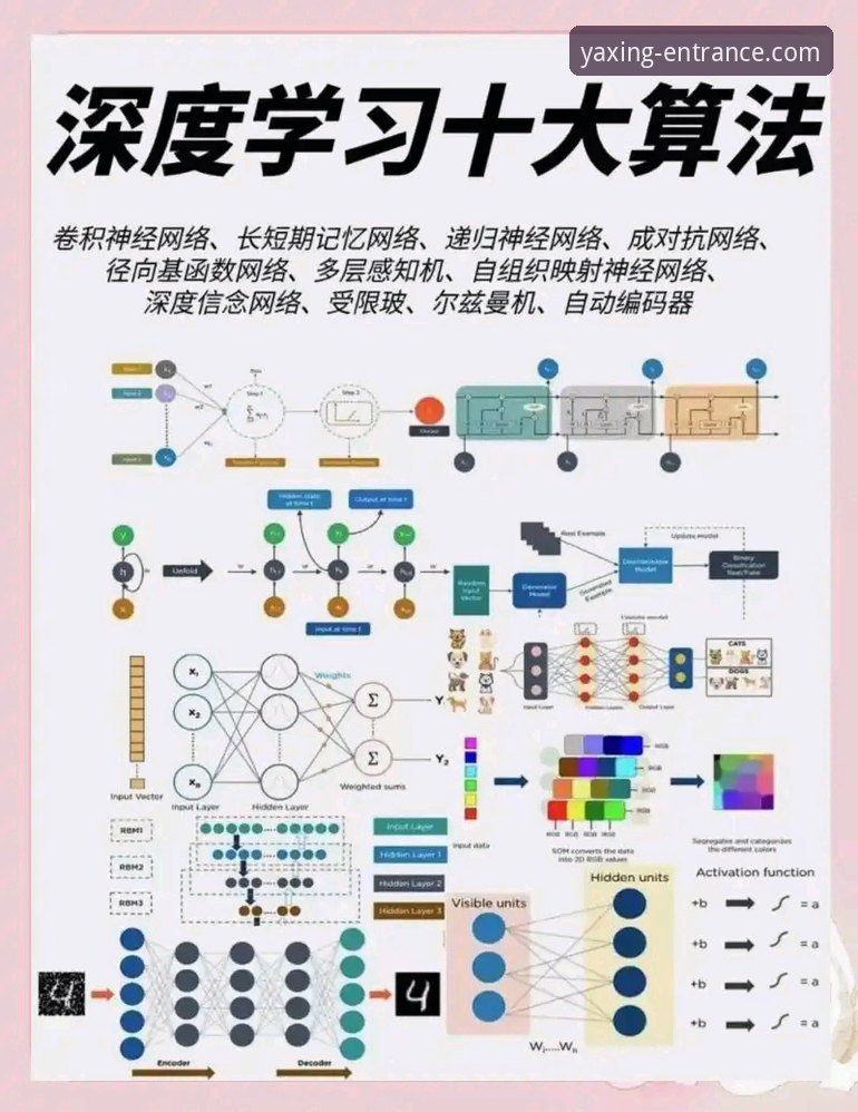 资深技术玩家深度解析：亚星官网访问的实战经验与安全指南